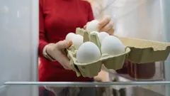 Das Geheimnis, wie Eier lange frisch bleiben: Ein Experte erklärt die richtige Lagerung