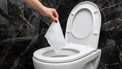 Spülen Sie das niemals die Toilette hinunter – eine Verstopfung ist garantiert