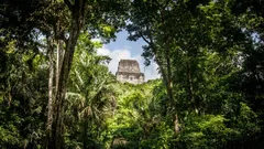 Die verlorene Pyramide: Warum wurde die grösste Maya-Stadt aufgegeben?